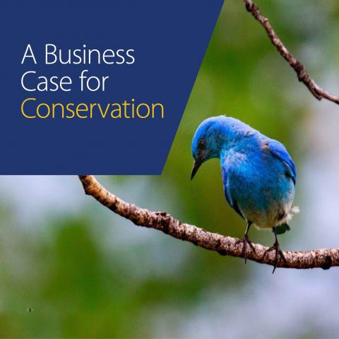 A Business Case for Conservation